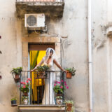 B&J-SICILY-388